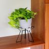 Florence Plant Stand