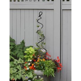 Spiral Trellis