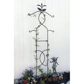 Tendrils Trellis II