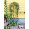 Waves Trellis Extension