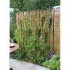 Vinifera Bottle Trellis