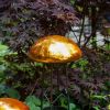 Toadstool, Mandarin