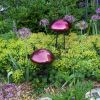 Toadstool, Plum