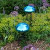 Toadstool, Teal