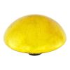 Toadstool, Yellow