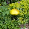 Toadstool, Yellow