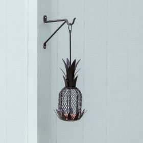 Pineapple Bird Feeder