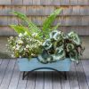 Odette Stand- Medium Blue Flower Box