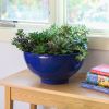 Large Planting Bowl, French Blue