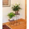 24"H Capri Plant Stand