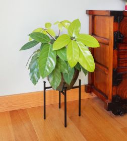 Eileen Plant Stand