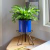 Florence Planter- French Blue Bowl